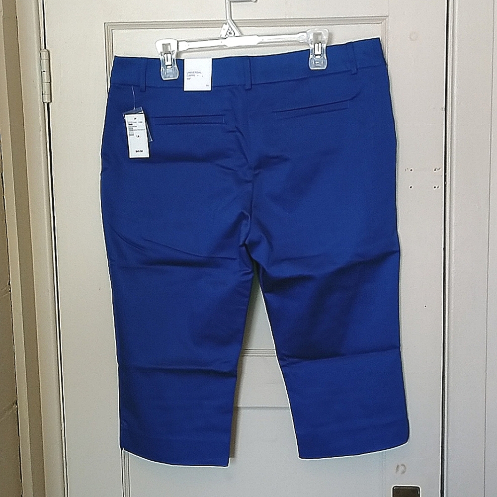 BNWT Ricki's Blue Capri Pants Size 14 - Picture 2 of 5